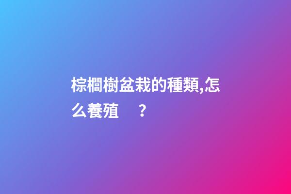 棕櫚樹盆栽的種類,怎么養殖？